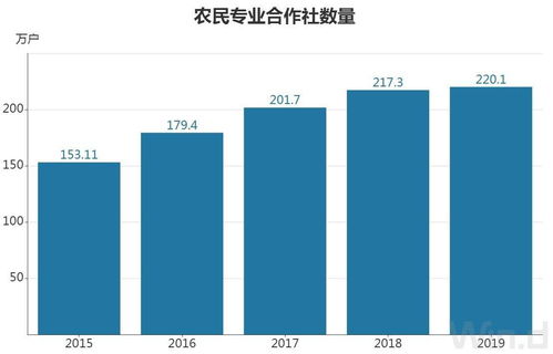 官方解读：全国粮食产量再创新高 生产结构进一步优化