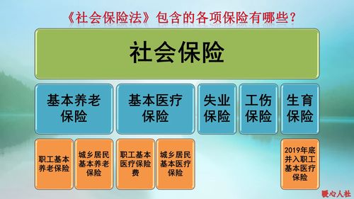 城乡居民养老保险可以补缴吗 根据地区政策而定